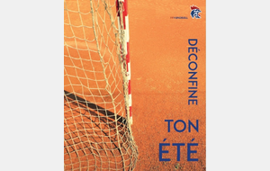 La Vitréenne Handball de retour